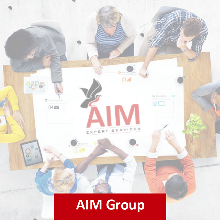 aim-group-expert-services-in-construction-contents